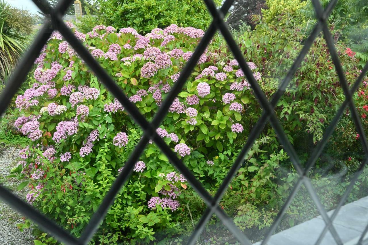 Halwell Lodge St Ives  Bagian luar foto